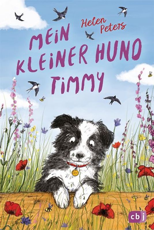 Mein kleiner Hund Timmy