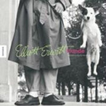 Hunde (und andere kuriose Persönlichkeiten)