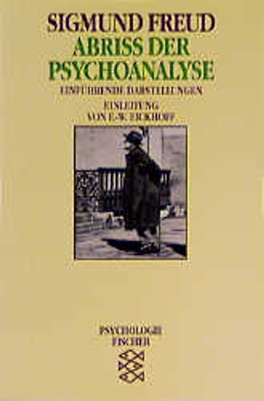 Abriß der Psychoanalyse
