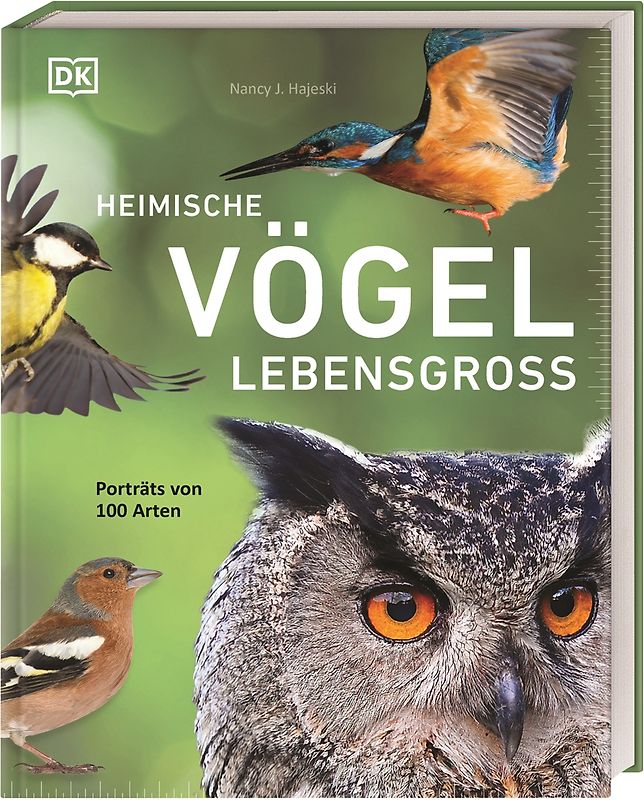 Heimische Vögel lebensgroß