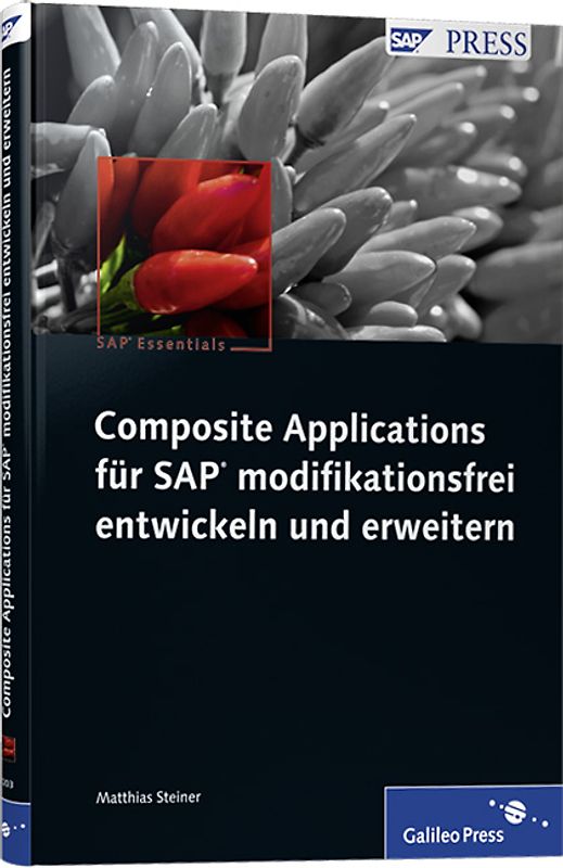 Composite Applications für SAP modifikationsfrei entwickeln und erweitern