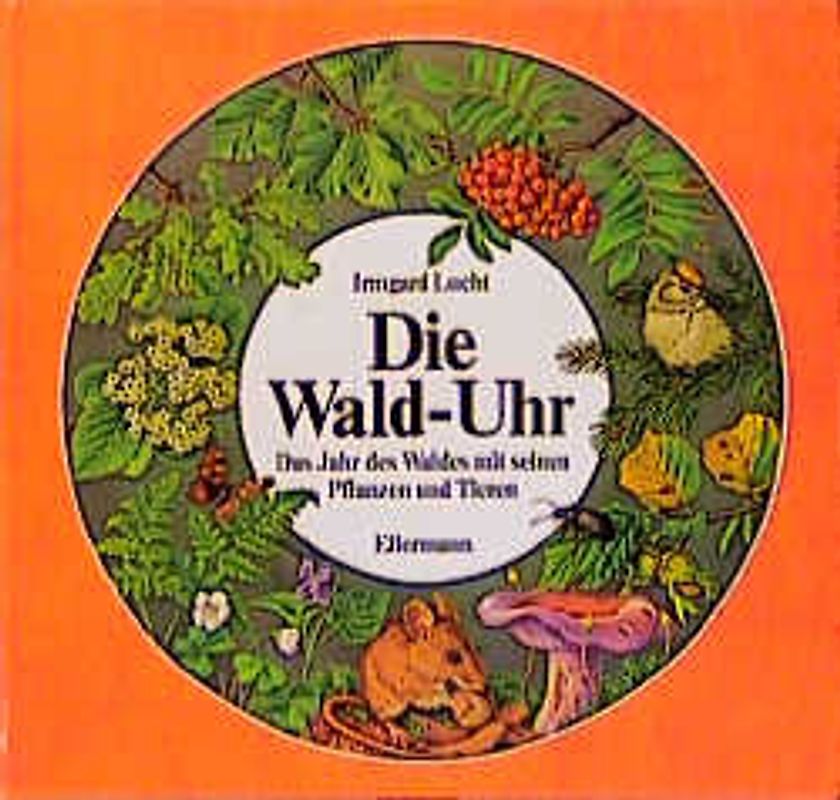 Die Wald-Uhr
