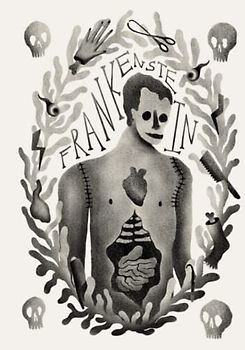 Frankenstein By Mary Shelley, Illustrated by Melissa Rose Noble