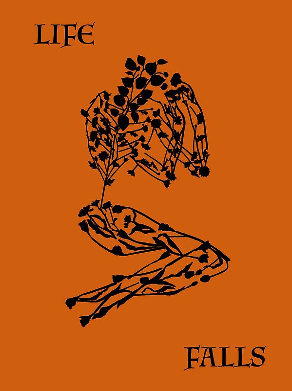 Sam Falls – After Life