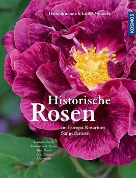 Historische Rosen Band 1