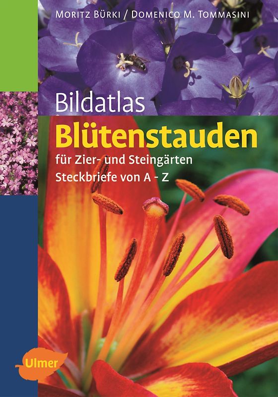 Bildatlas Blütenstauden
