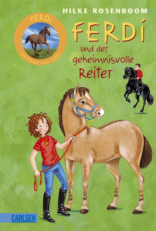 Ferdi, Band 1: Ferdi - und der geheimnisvolle Reiter