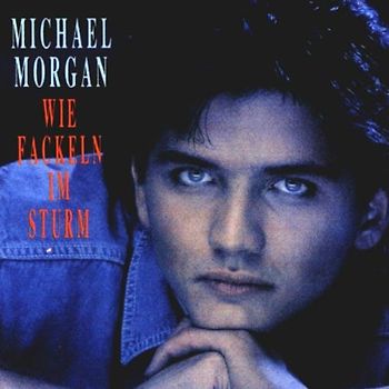 Michael Morgan - Wie Fackeln im Sturm