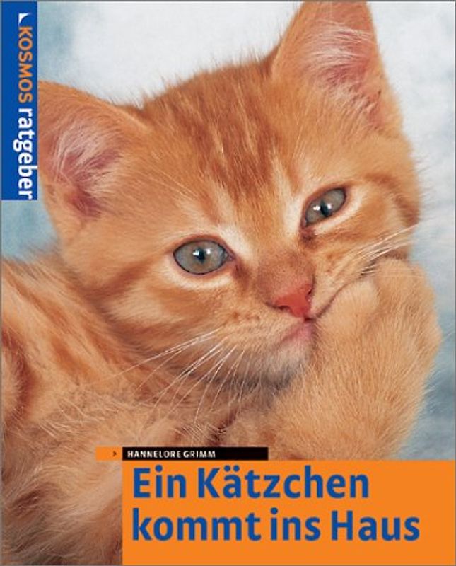 Ein Kätzchen kommt ins Haus