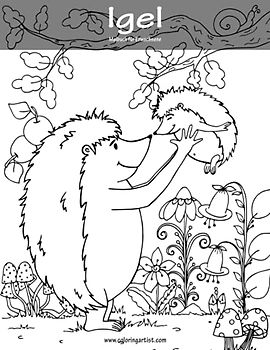 Igel-Malbuch für Erwachsene 1