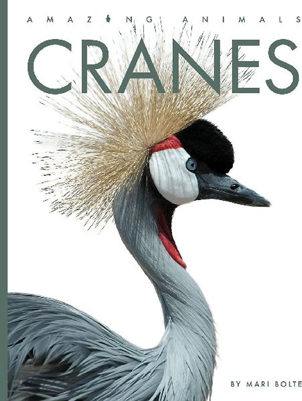 Cranes