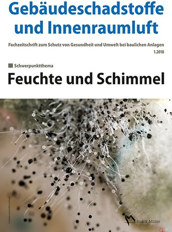Gebäudeschadstoffe und Innenraumluft, Band 4: Feuchte und Schimmel
