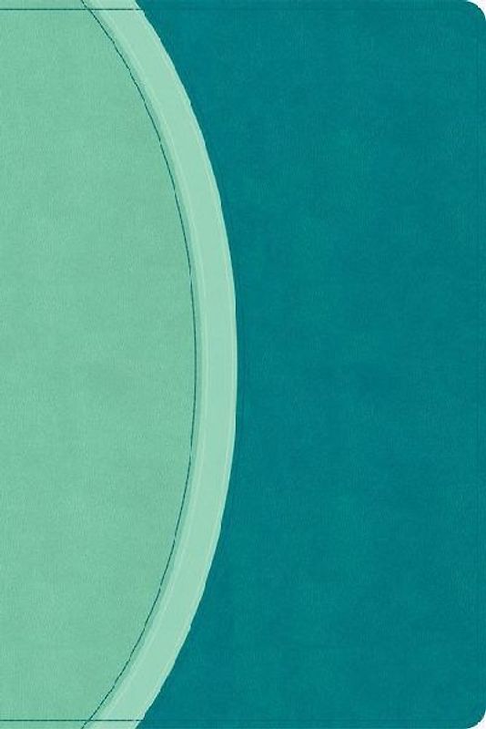 CSB Rainbow Study Bible, Teal Leathertouch (Limited Edition)