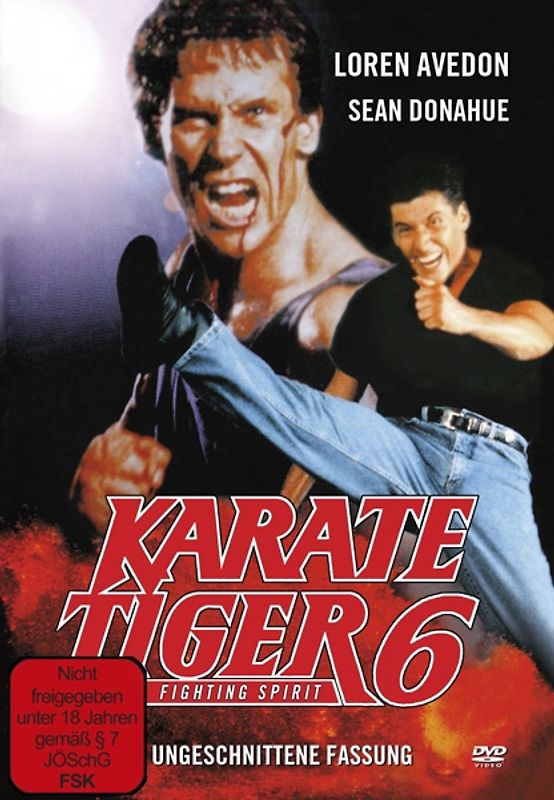 Karate Tiger 6 - Fighting Spirit DVD
