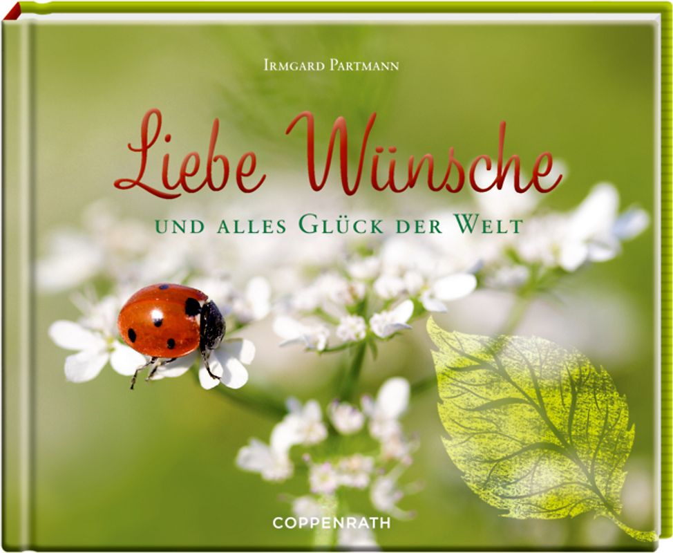 Liebe Wünsche und alles Glück der Welt