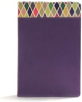 CSB Rainbow Study Bible, Purple Leathertouch