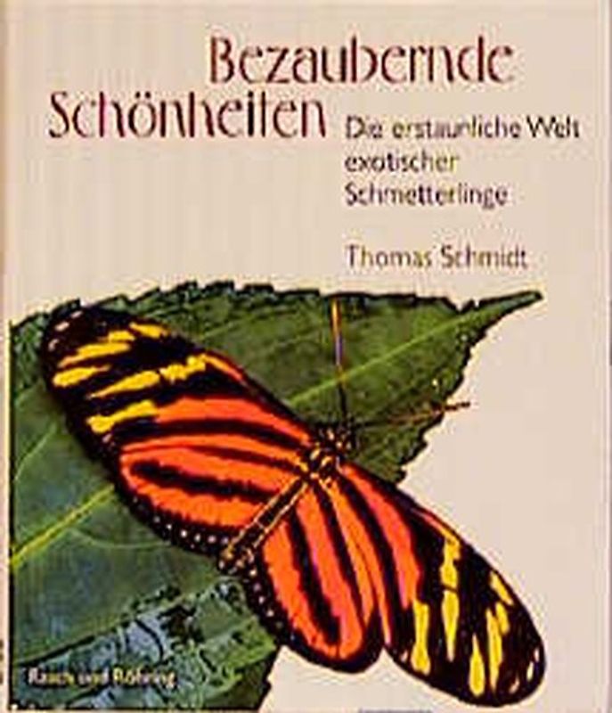 Bezaubernde Schönheiten. Exotische Schmetterlinge