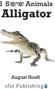 Alligator