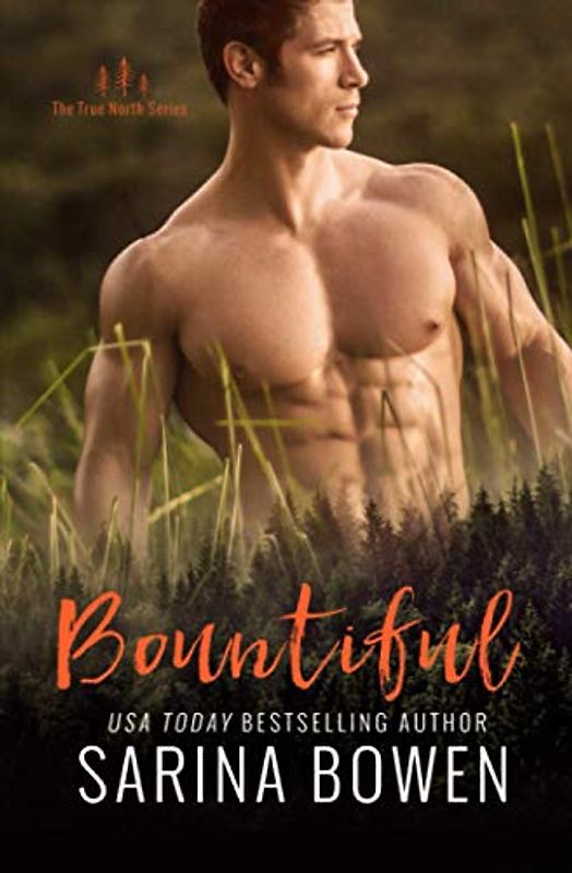 Bountiful (True North: Small Town Romance, Band 4)