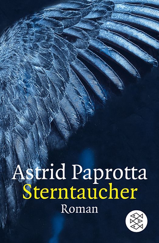 Sterntaucher. Roman