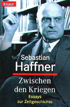 Zwischen den Kriegen. Essays zur Zeitgeschichte