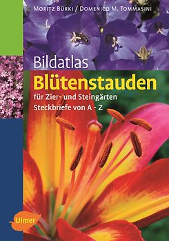 Bildatlas Blütenstauden