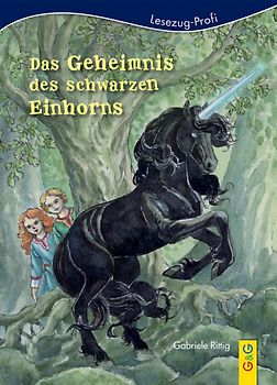 LESEZUG/Profi: Das Geheimnis des schwarzen Einhorns