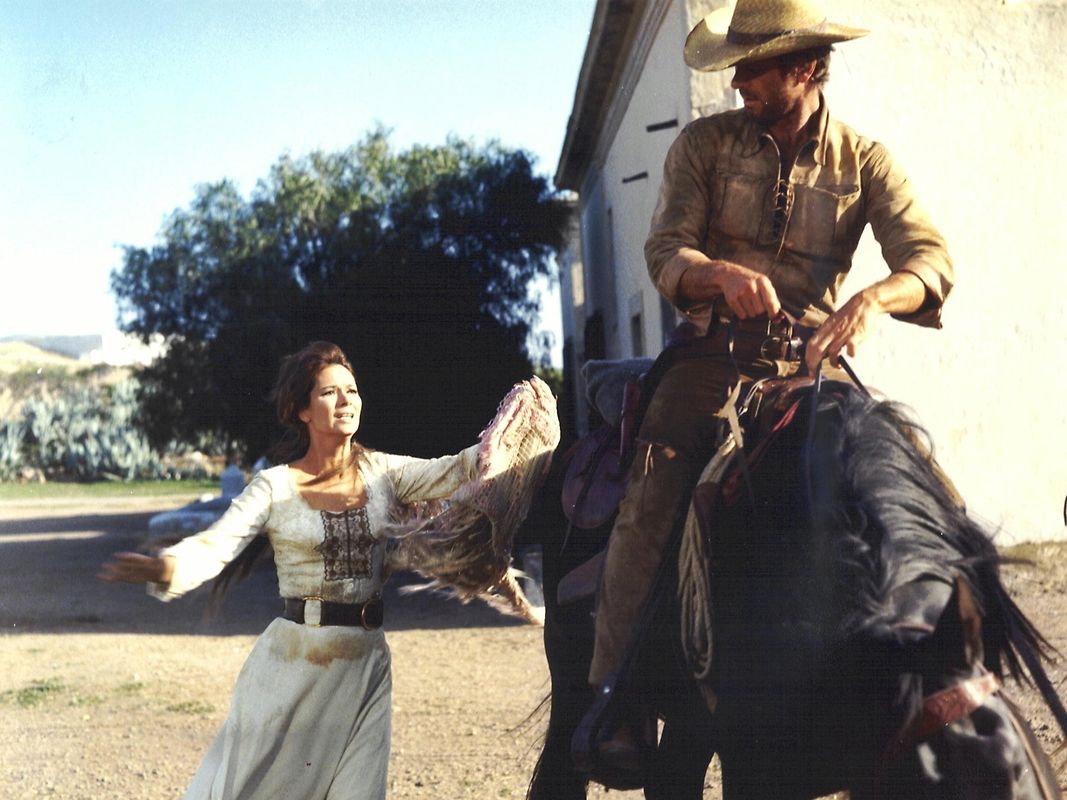 Django - Ich will ihn tot DVD