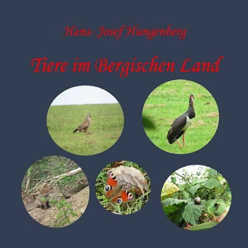 Tiere im Bergischen Land