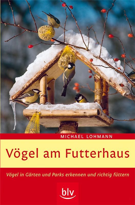 Vögel am Futterhaus