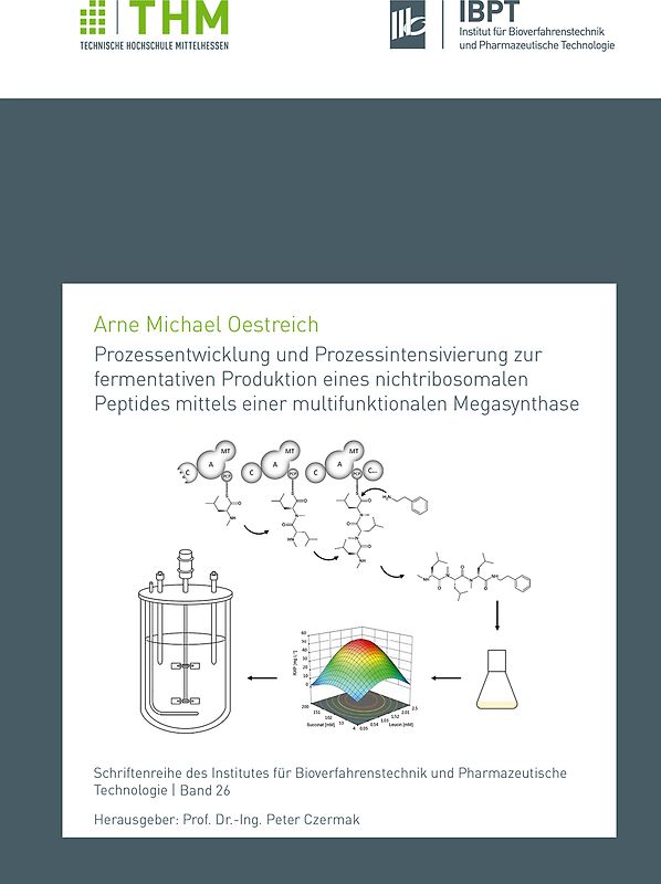 Prozessentwicklung und Prozessintensivierung zur fermentativen Produktion eines nichtribosomalen Peptides mittels einer multifunktionalen Megasynthase