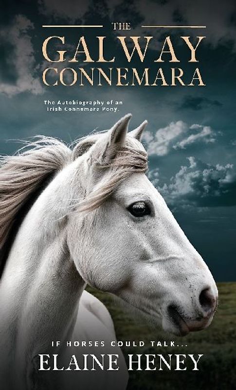 The Galway Connemara | The Autobiography of an Irish Connemara Pony. If horses could talk