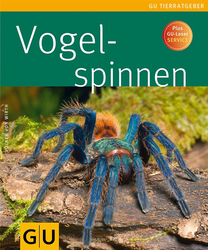 Vogelspinnen