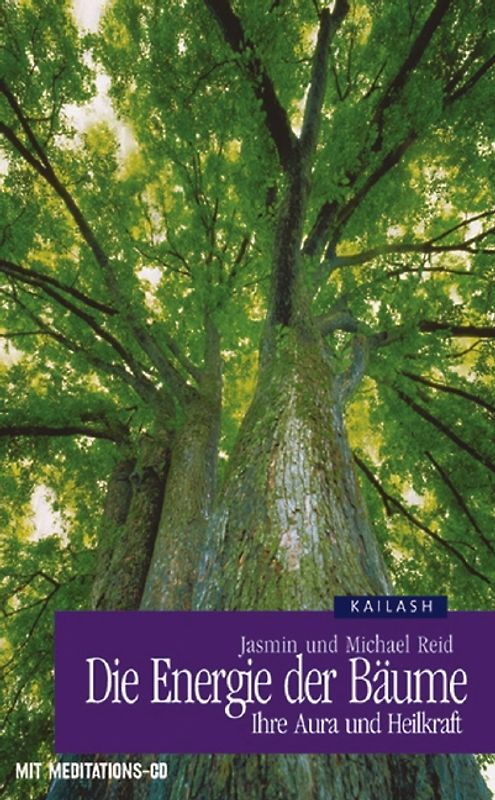 Die Energie der Bäume