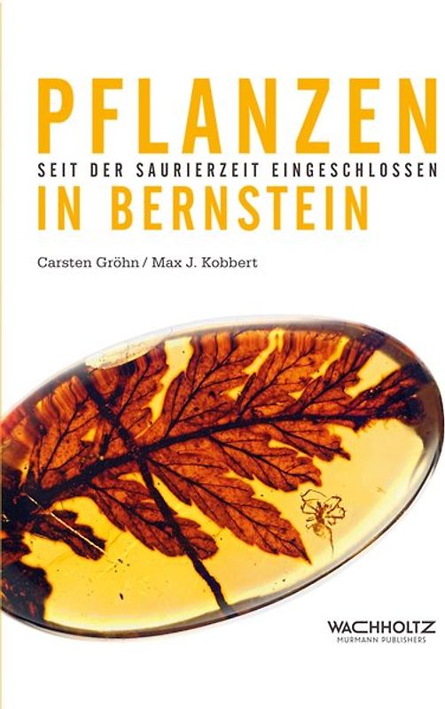 Pflanzen in Bernstein