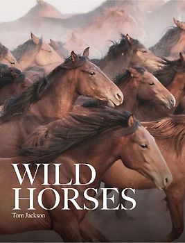 Wild Horses