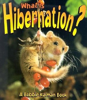 What is Hibernation?