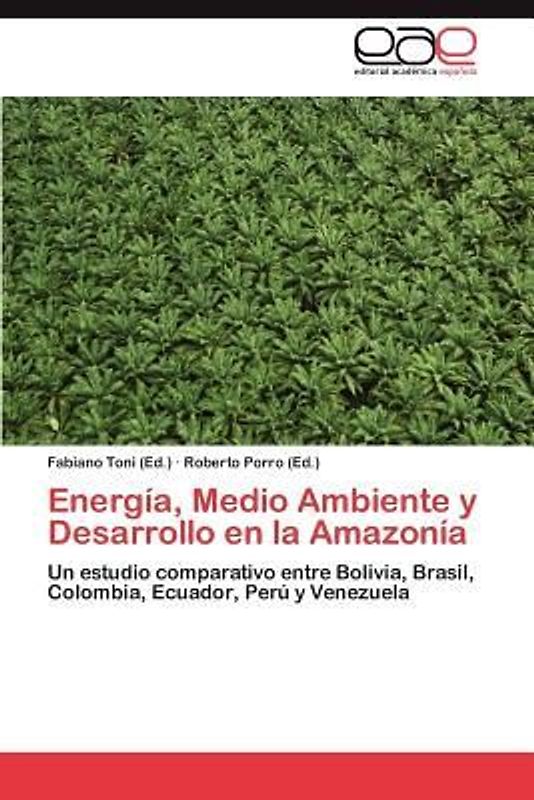 Energía, Medio Ambiente y Desarrollo en la Amazonía