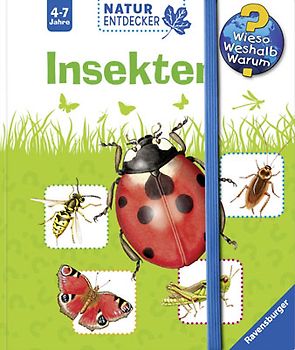 Insekten