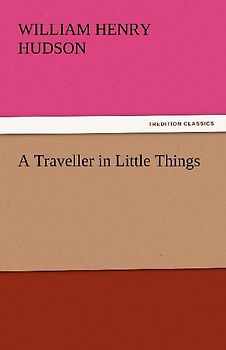 A Traveller in Little Things