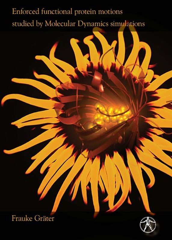 Enforced functional protein motions studied by Molecular Dynamics simulations