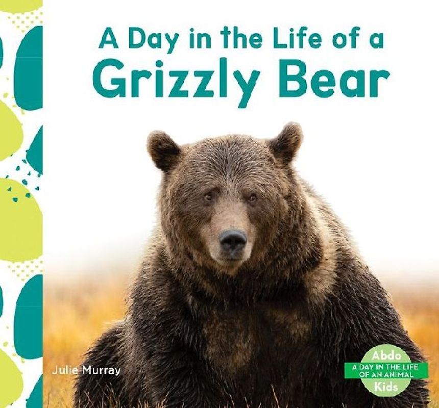 Day in the Life of a Grizzly Bear