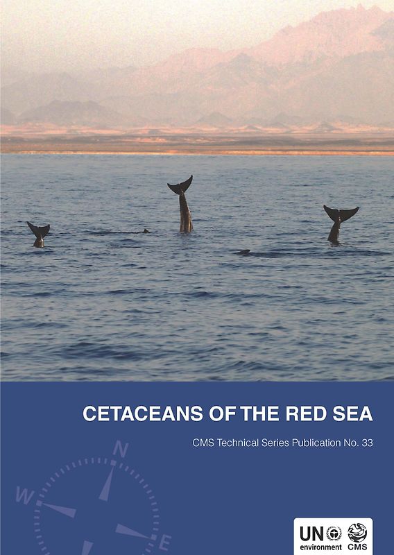 Cetaceans of the Red Sea