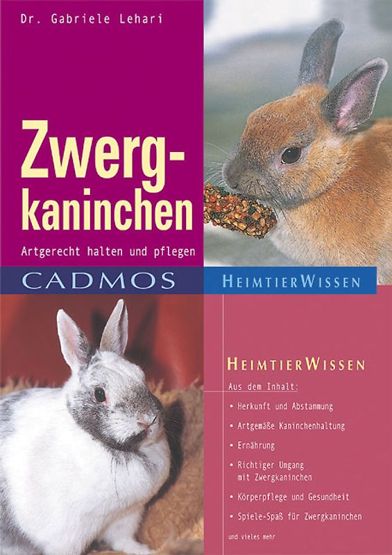Zwergkaninchen