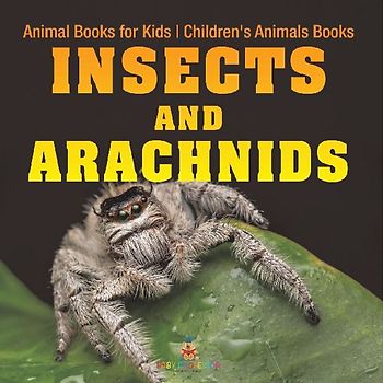 Insects and Arachnids