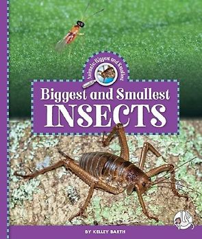 Biggest and Smallest Insects