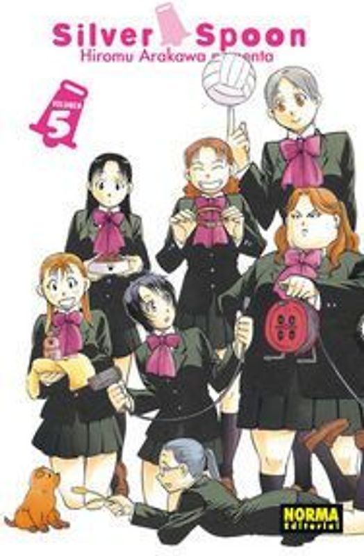 Silver Spoon 5