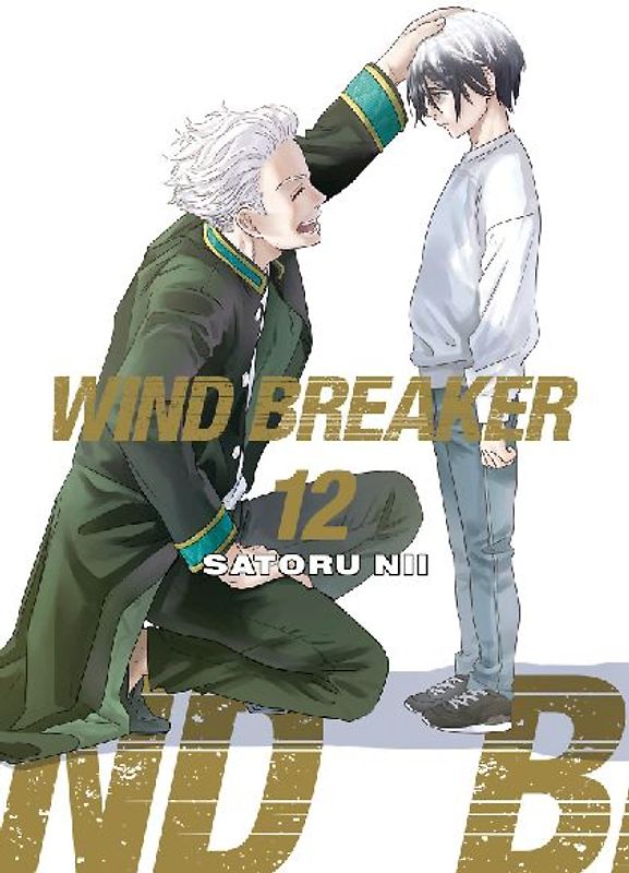 Wind Breaker 12