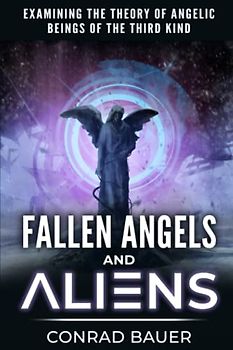 Fallen Angels and Aliens: Examining the Theory of Angelic Beings of the Third Kind