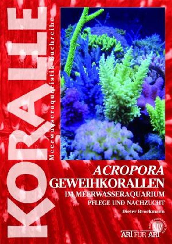 Acropora - Geweihkorallen im Meerwasseraquarium